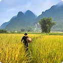 订阅我们的最新资讯 - 逸凡国际